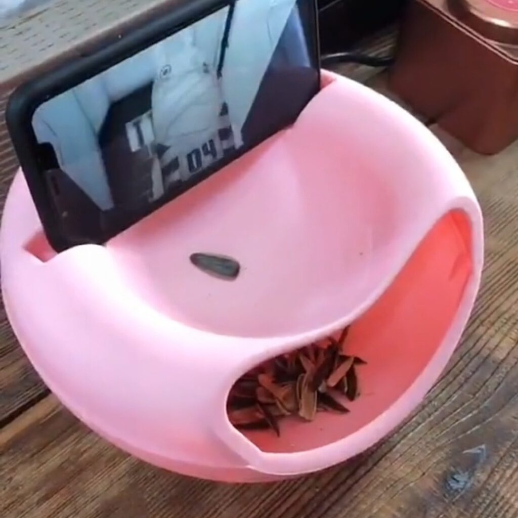 Comepipas Soporte Movil